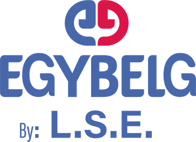 L.S.E logo